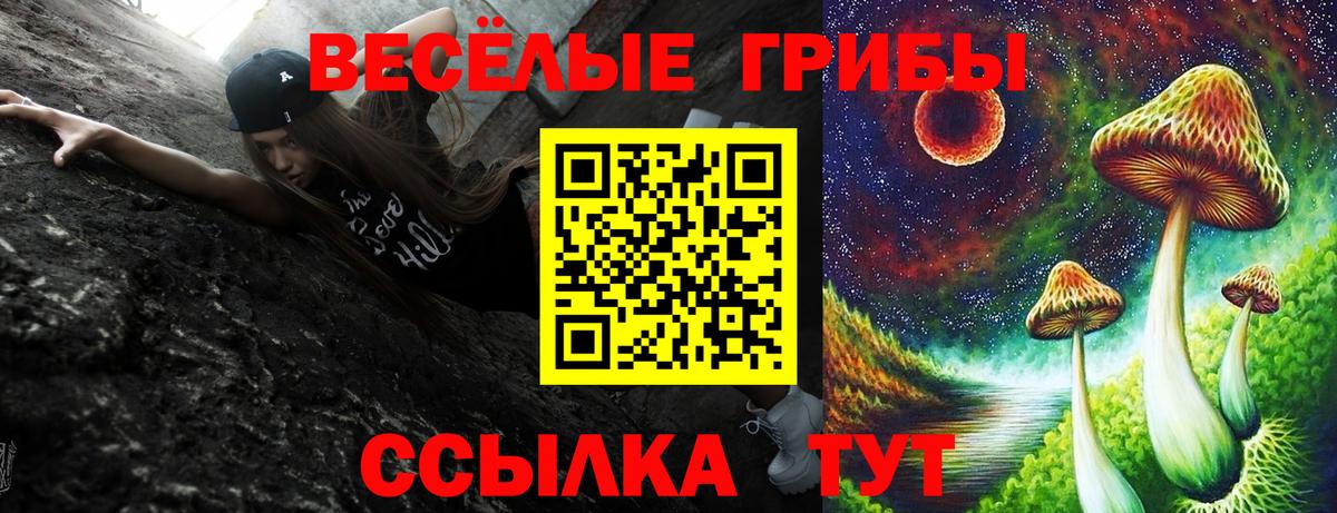 Осинники  Галлюциногенные грибы прущие грибы  Вход с VPN 